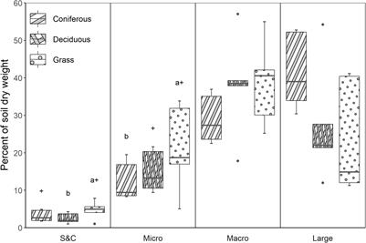 Soil Carbon Stabilization Under Coniferous, Deciduous and Grass Vegetation in Post-mining Reclaimed Ecosystems